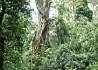 kenia 19