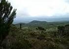 kenia 20