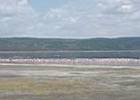kenia 4