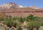 DSC04556  Zion NP : USA