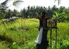 IMG 1261  Ubud : Indonesie