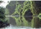 Malay2001-11