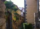 IMG 1413  Hum