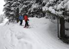 DSC00500
