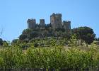 IMG 5684  Almodovar